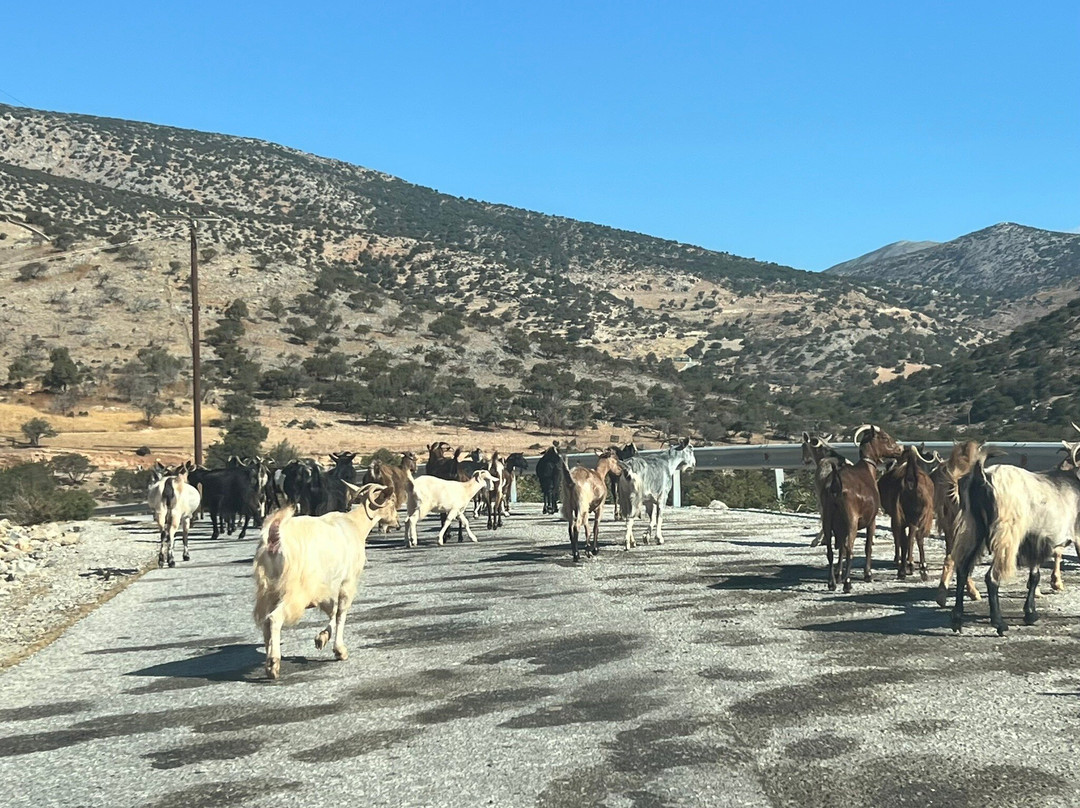 Ammoudia Beach-Ammoudia必去景点