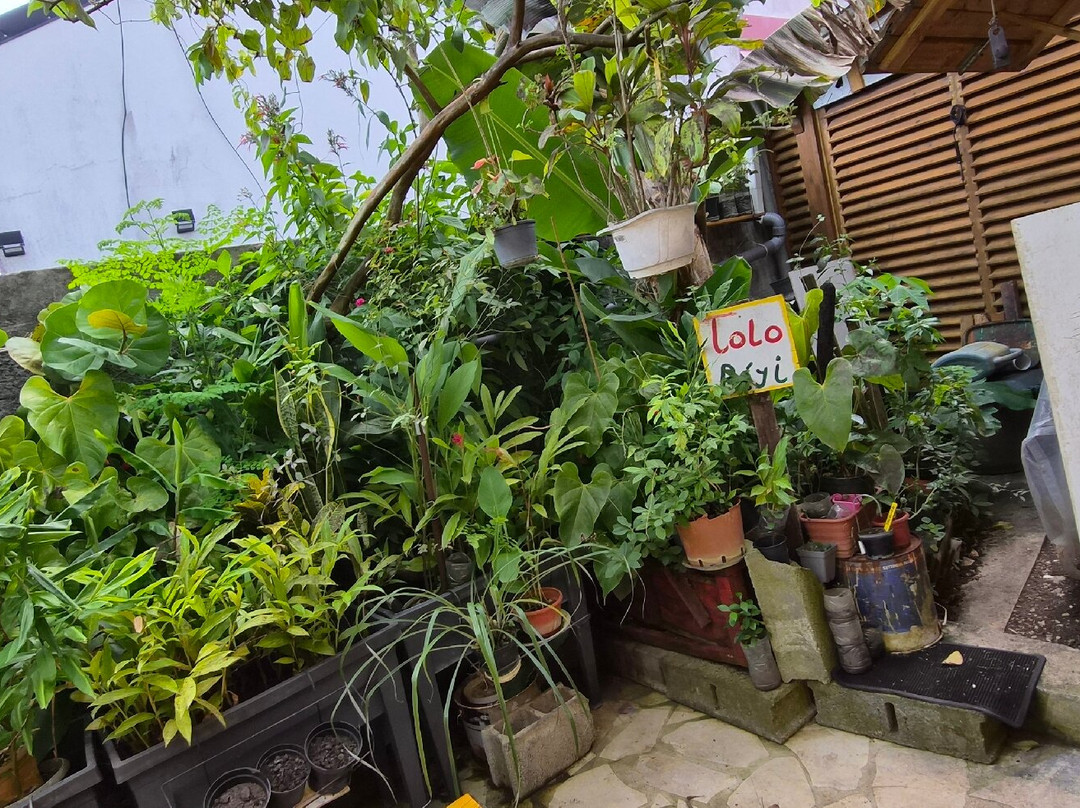 Lolo Péyi-Morne-A-l'Eau必去景点