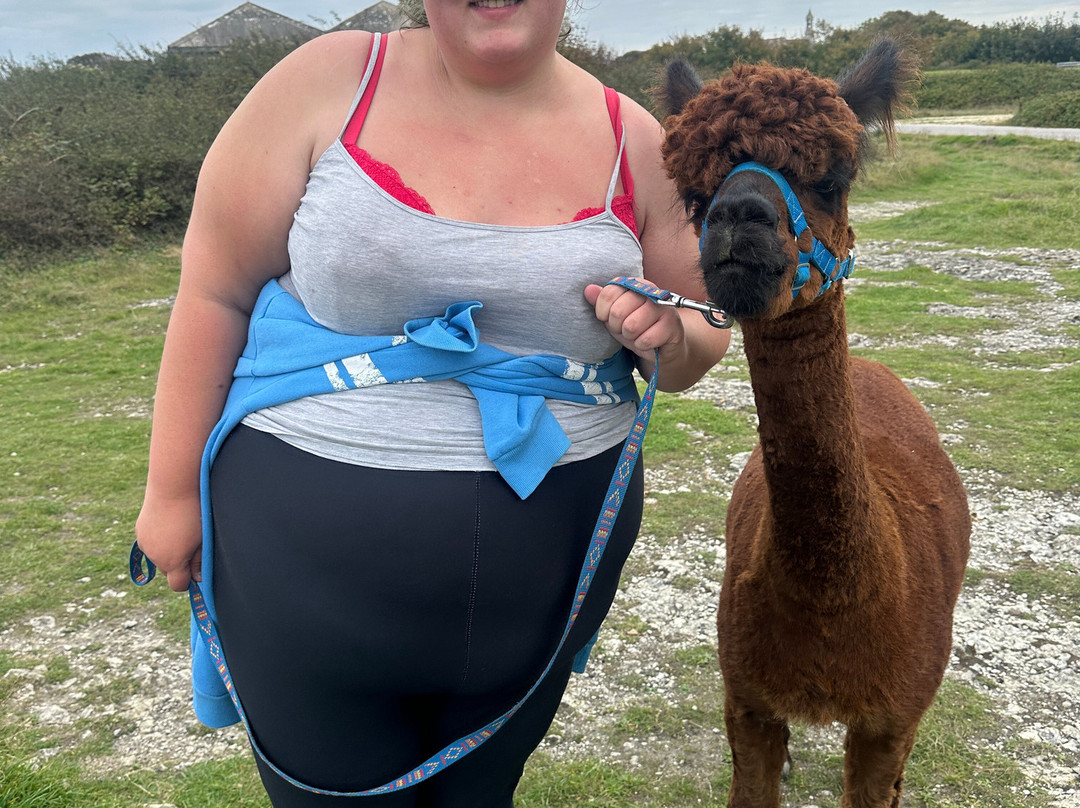 Portland Alpaca Trekking-Weston必去景点