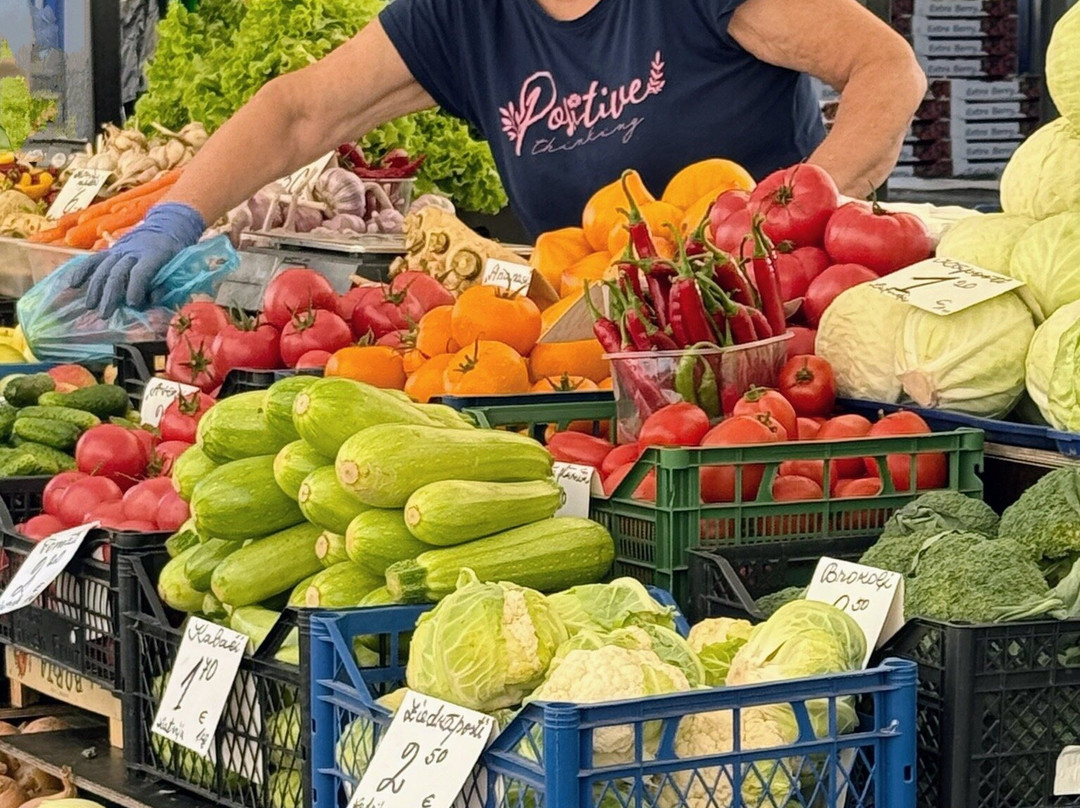 Baltic Holidays-考那斯必去景点