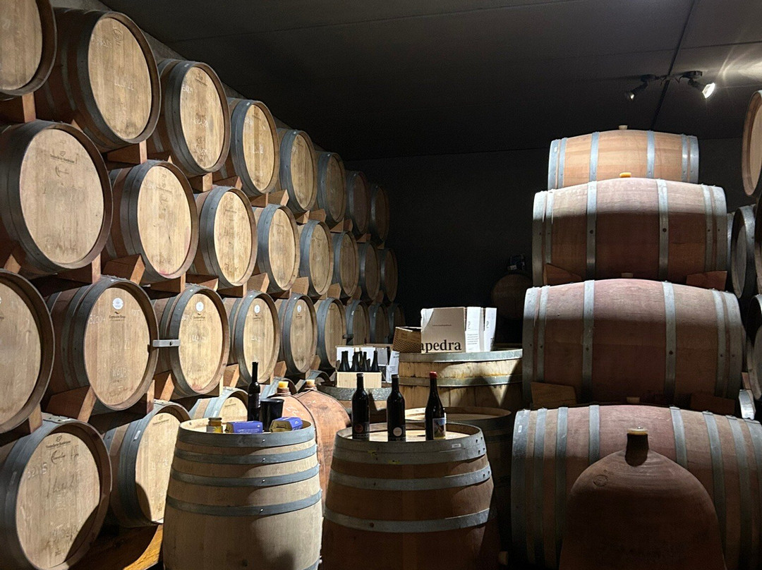 La Vinyeta-Mollet de Peralada必去景点