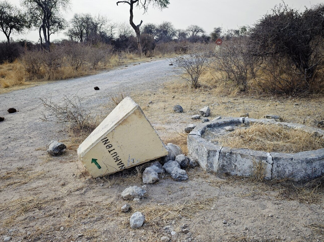 Etosha Pan-纳米比亚埃托沙国家公园必去景点
