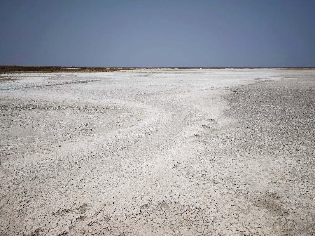 Etosha Pan-纳米比亚埃托沙国家公园必去景点