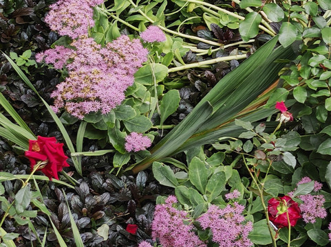 Georgia guide driver-第比利斯必去景点