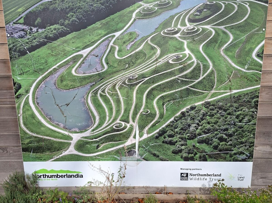 Northumberlandia-Cramlington必去景点