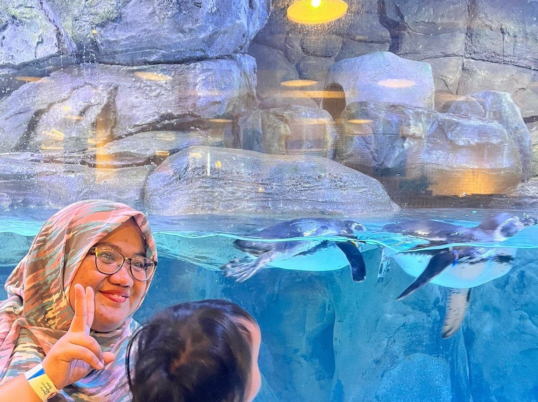 Jakarta Aquarium & Safari-雅加达必去景点