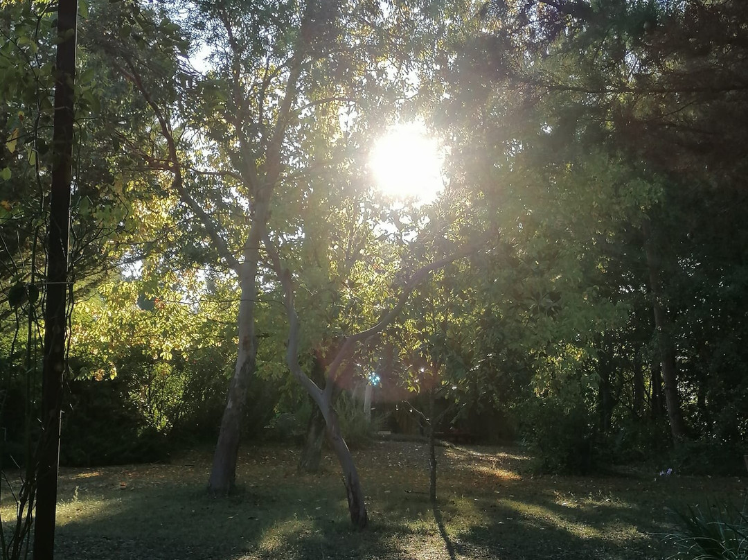 Zazen en Provence主图