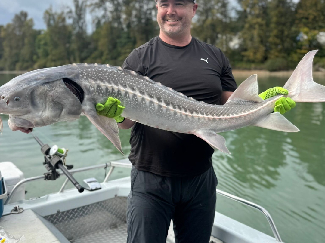 Mainlanders Sport Fishing-奇利瓦克必去景点