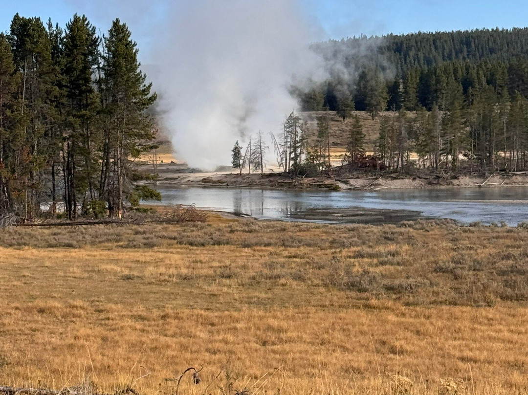 Yellowstone Wolf Tracker-加德纳必去景点