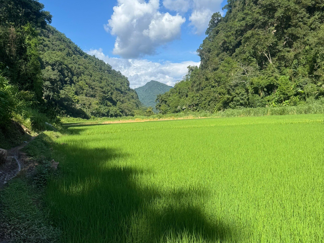 Ba Be Jungle Houses主图