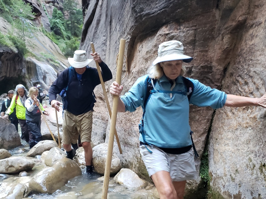 Zion Guide Hub-斯普林代尔必去景点