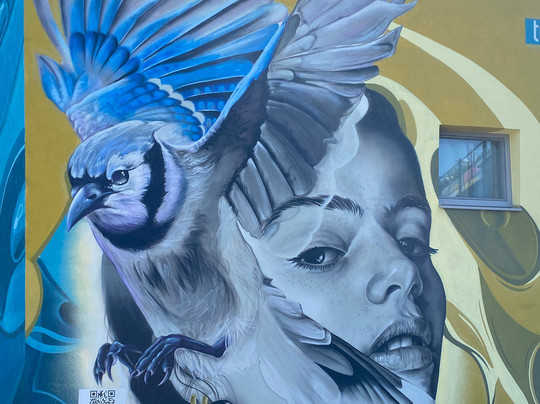 Prime Tours-维也纳必去景点