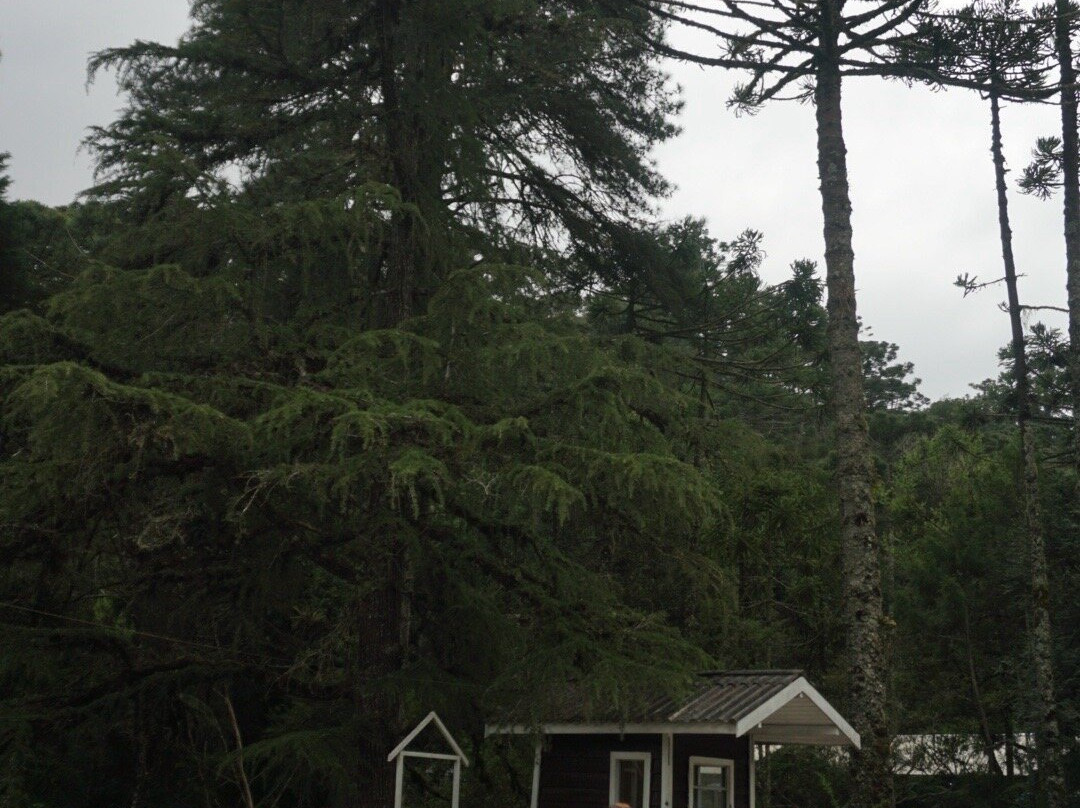 Parque Estadual Campos do Jordao-坎普斯－杜若尔当必去景点