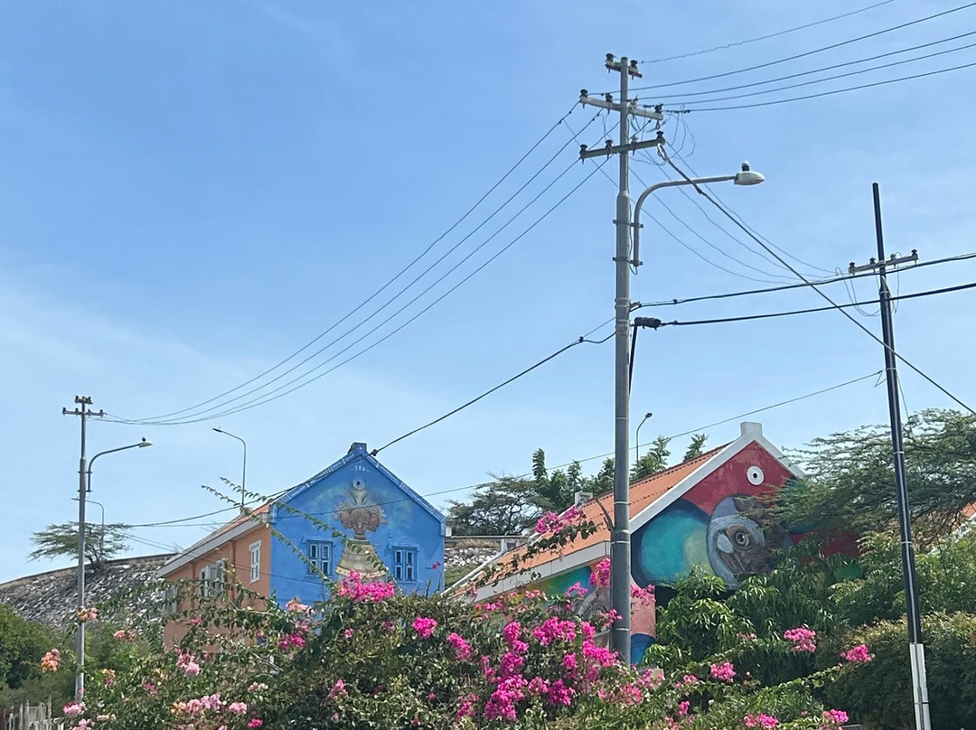 Curaçao Fascinating Tours-威廉斯塔德必去景点