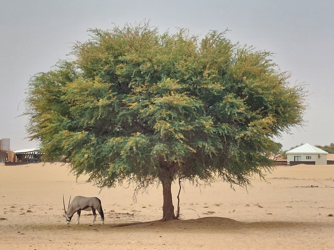 Wild Cherry Adventures-温德和克必去景点