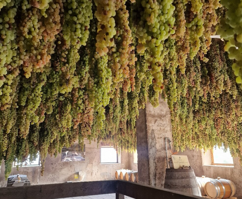 Cantina Giovanni Menti-Gambellara必去景点