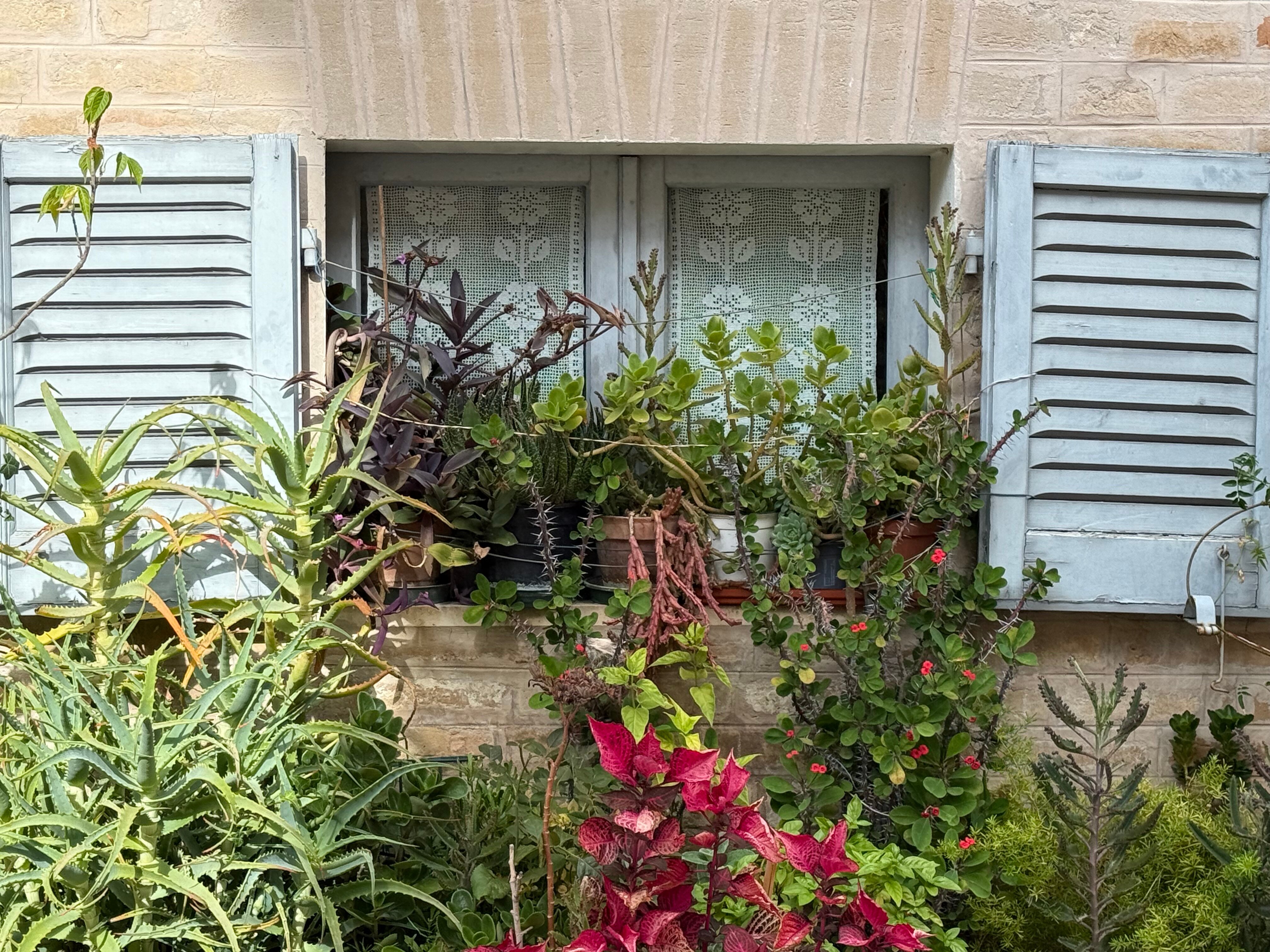 Boutique Hotel Leone & Retreat Centre-浴室
