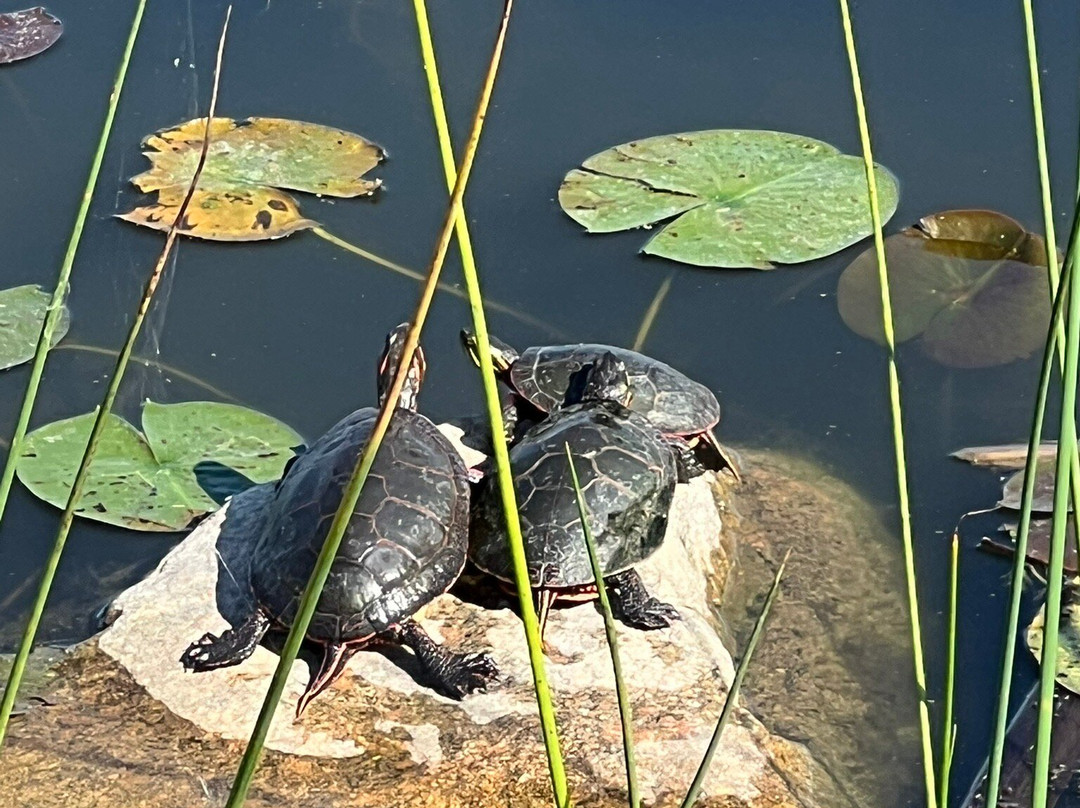 Hastings Lake Preserve-Lake Villa必去景点