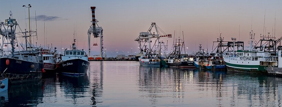 火奴鲁鲁鲜鱼拍卖会-火奴鲁鲁必去景点