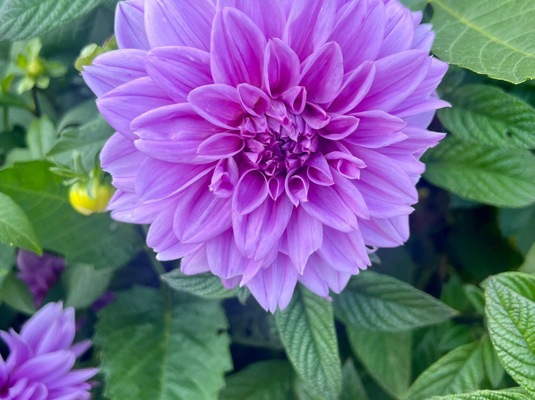 Prescott Park-朴次茅斯必去景点