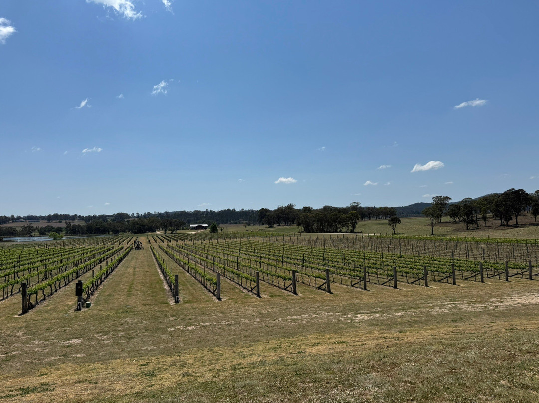 Savina Lane Wines-Severnlea必去景点