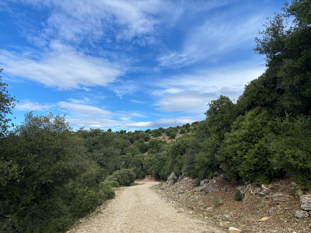 Vrachonas-塞沃塔必去景点