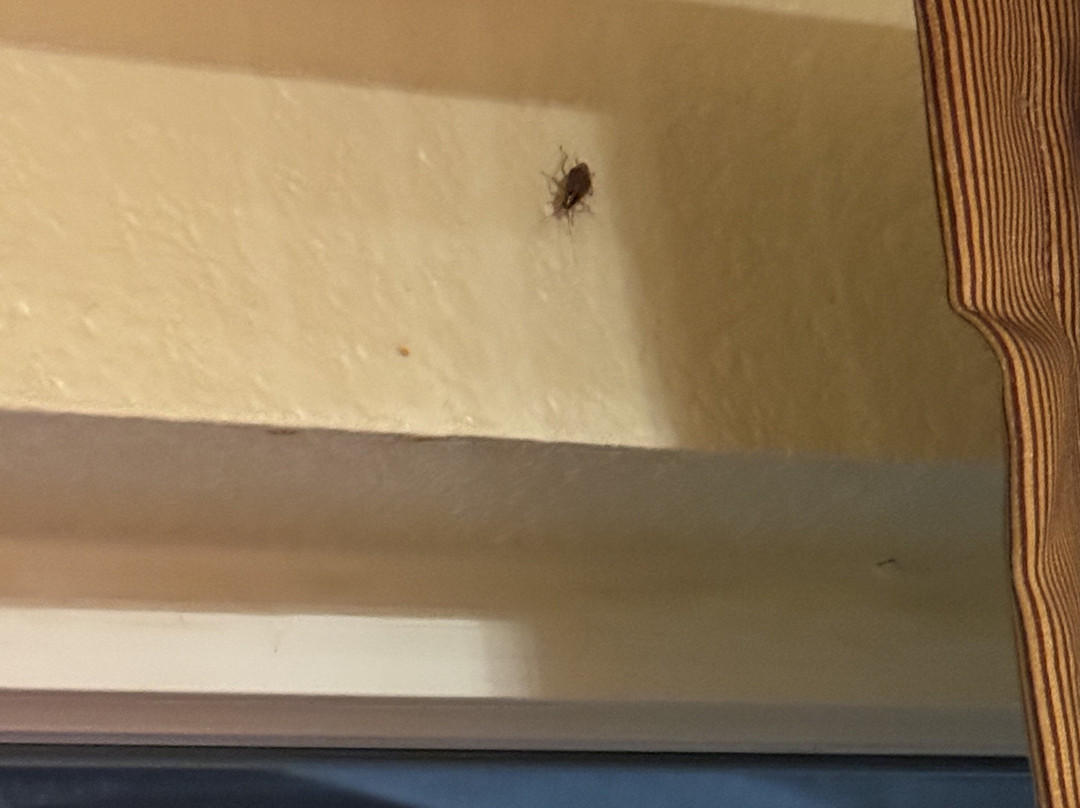 Econo Lodge East主图