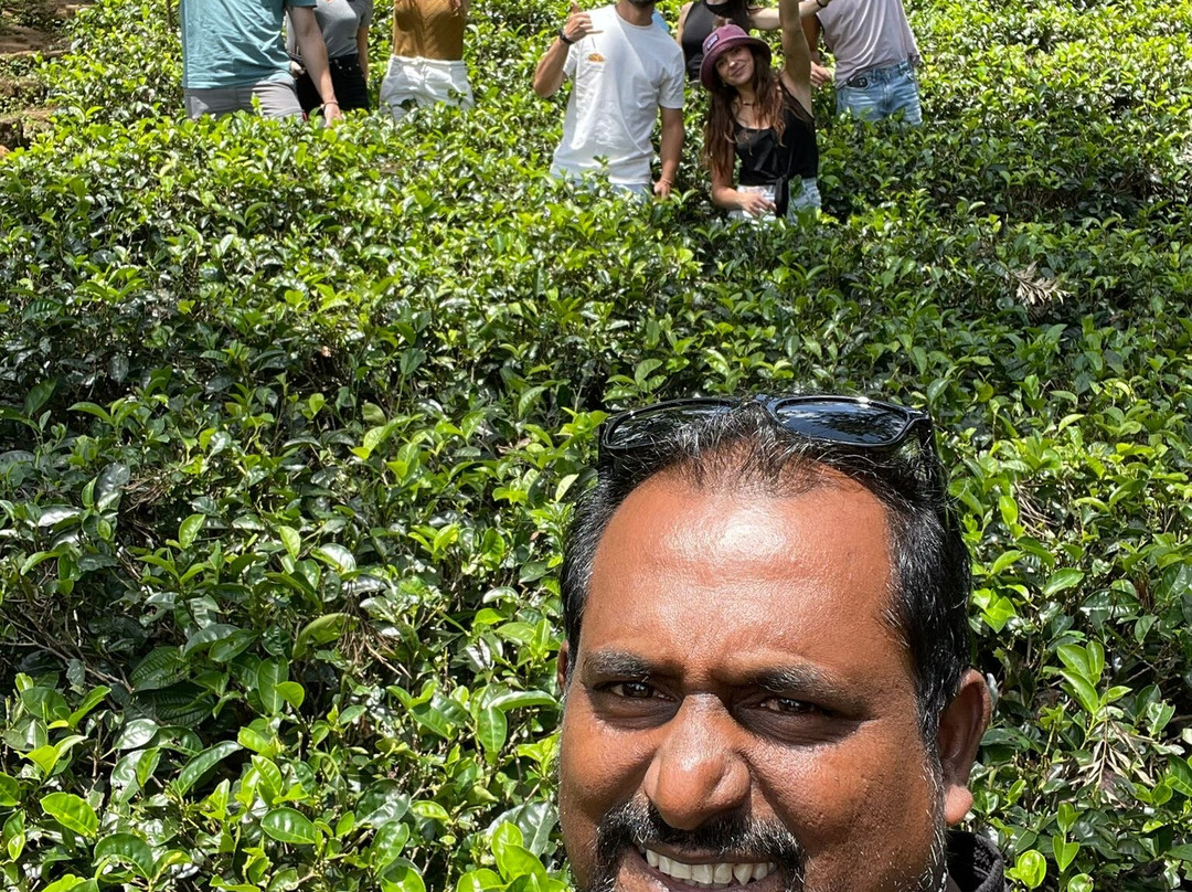 Sri Lanka Paradise Tours-尼甘布必去景点