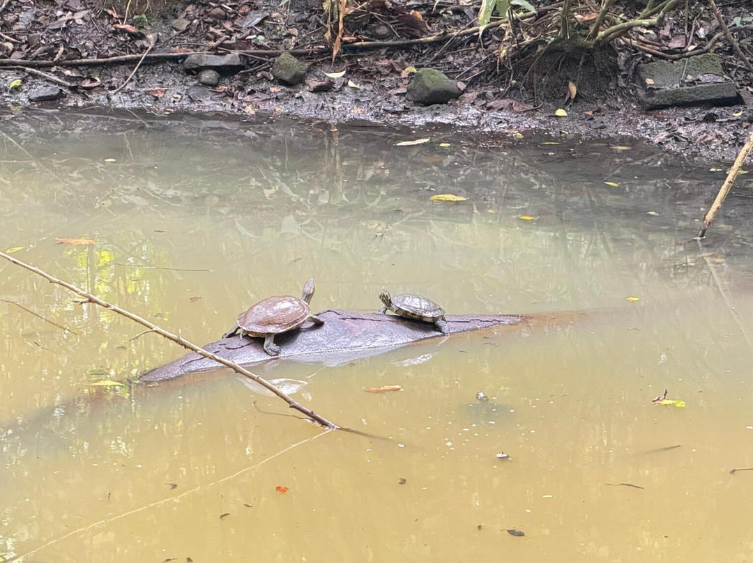 Metropolitan National Park-巴拿马城必去景点