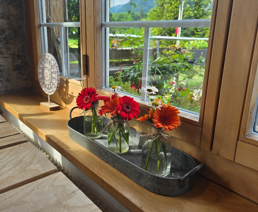 Hotel Alpenrose beim Ballenberg主图