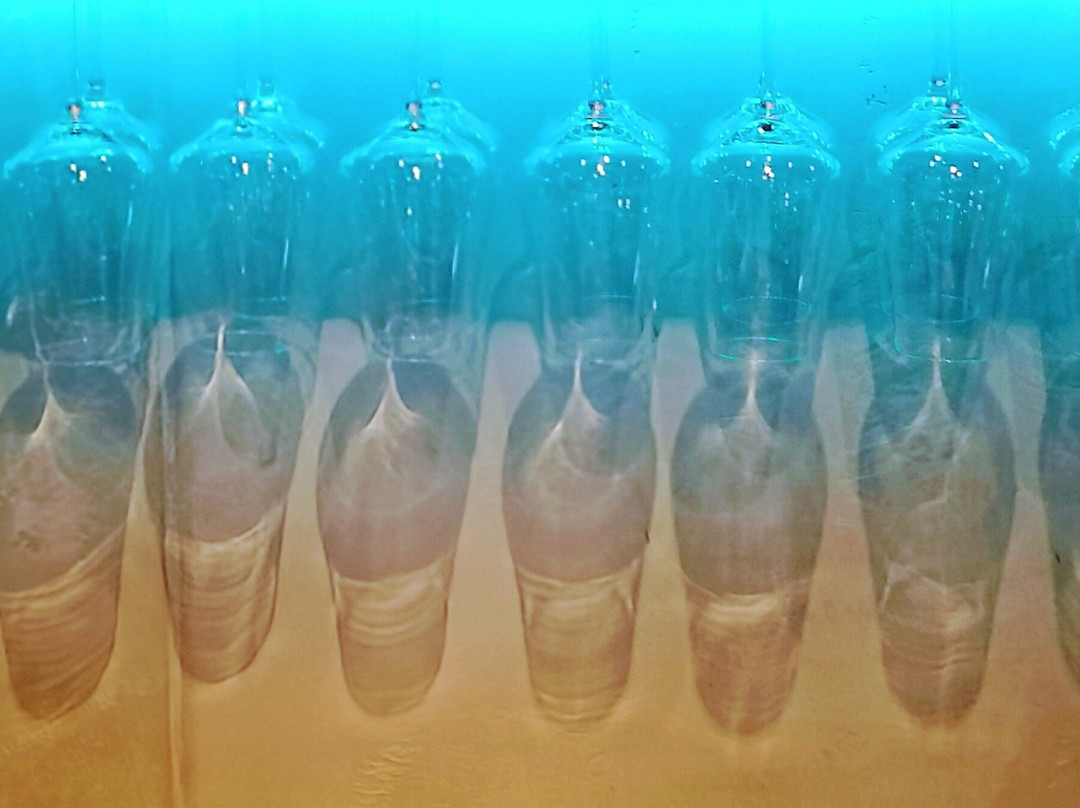 Das Weinhaus - Vinothek Meßmer-Burrweiler必去景点