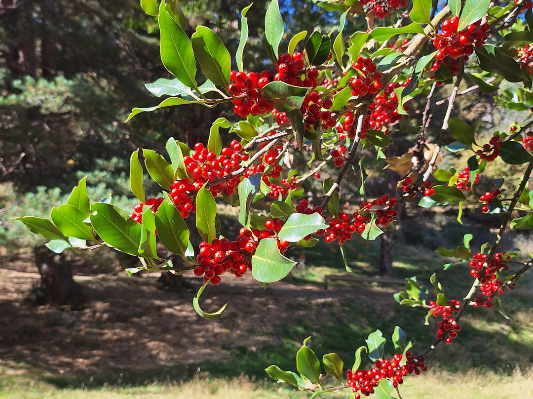 Parque Faunistico - La cuniacha-Biescas必去景点