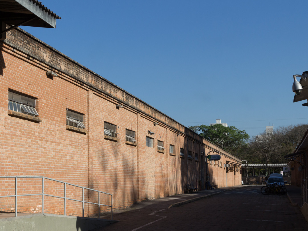 Parque Roberto Burle Marx-圣若泽杜斯坎普斯必去景点