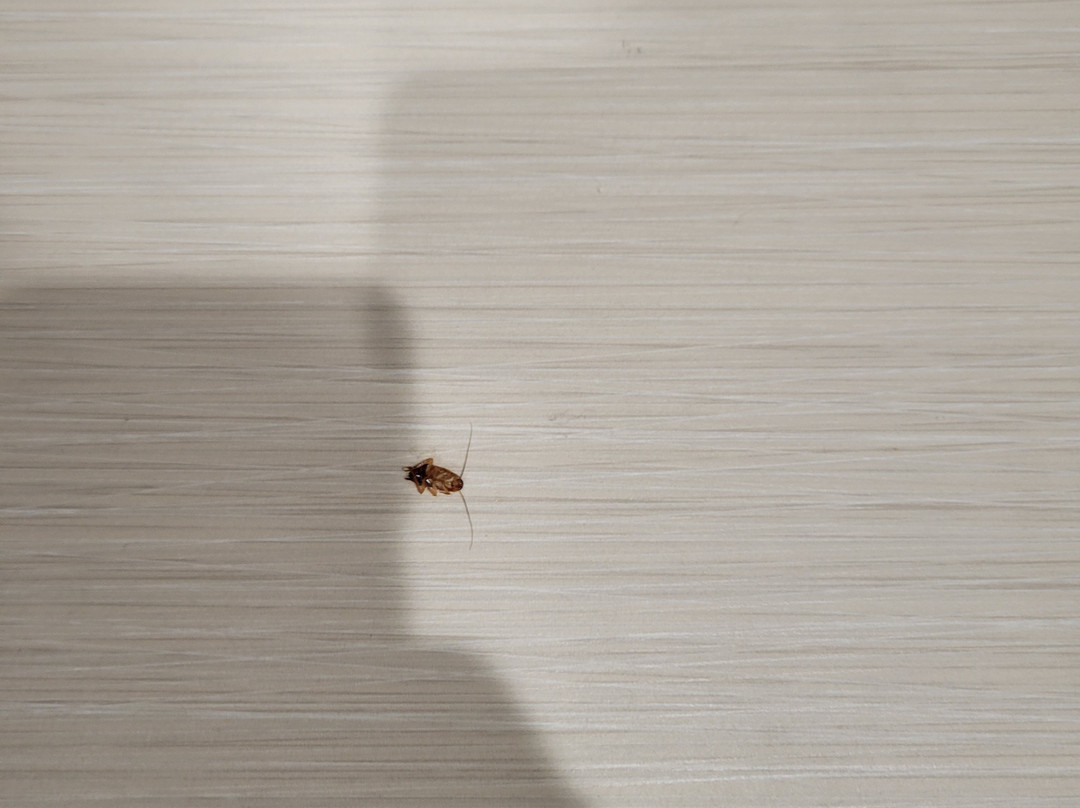 Home2 Suites by Hilton Bentonville Rogers主图