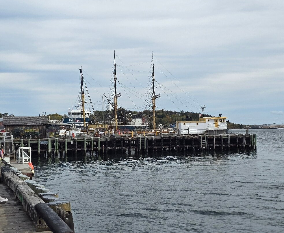 Fisheries Museum of the Atlantic-卢嫩堡必去景点