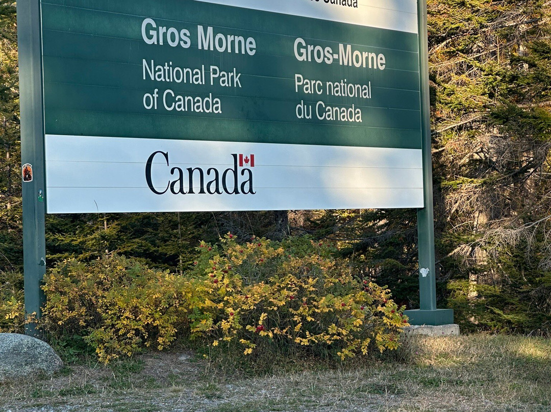 The Discovery Center-Woody Point必去景点