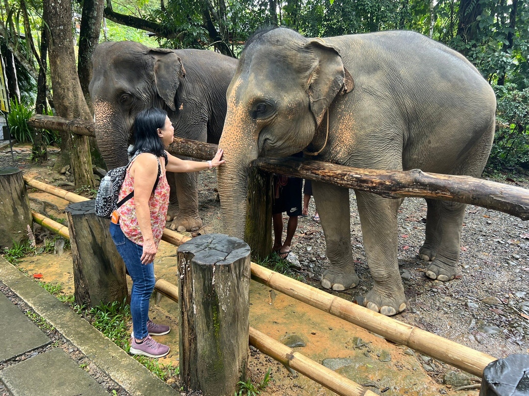 Phang Nga Elephant Park-攀牙必去景点