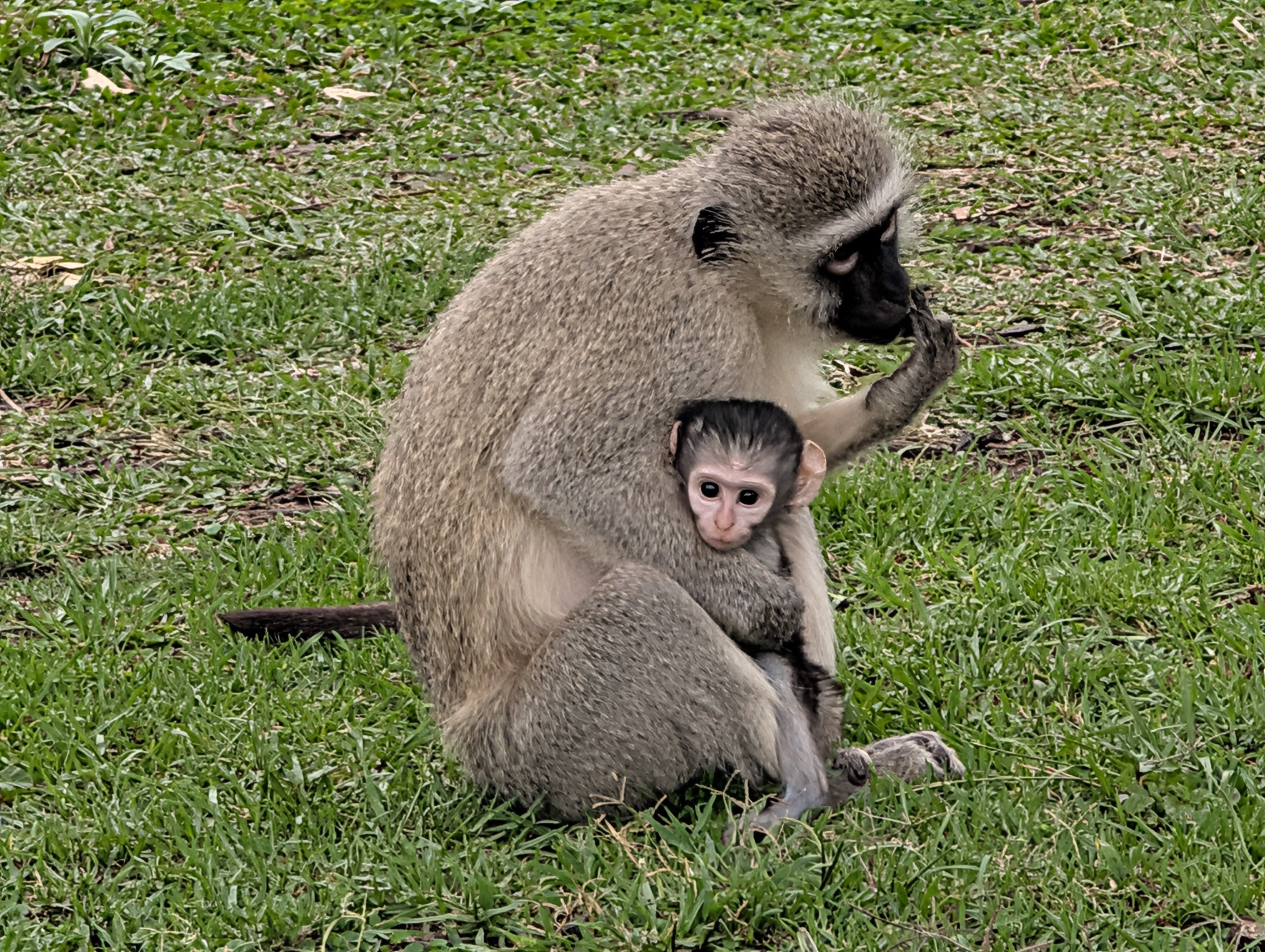 Sabi River Sun Resort-官方