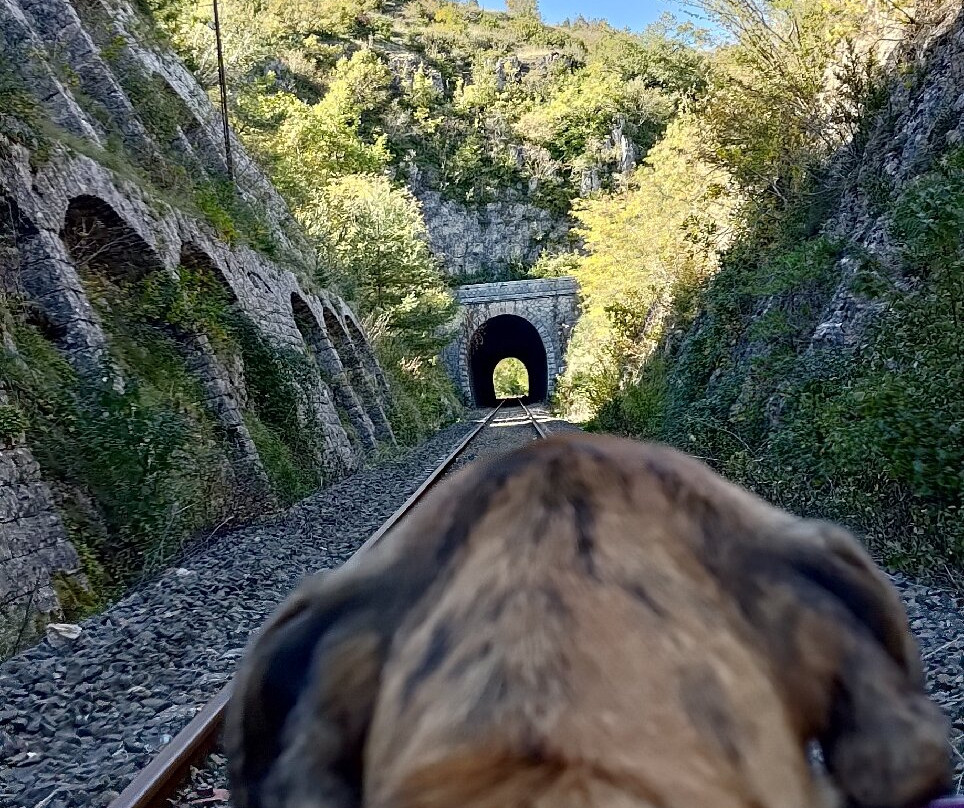 Velorail du Larzac-Sainte-Eulalie-de-Cernon必去景点