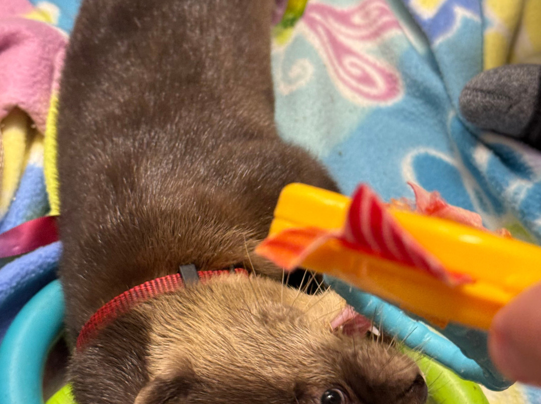 Tanganyika Wildlife Park-Goddard必去景点