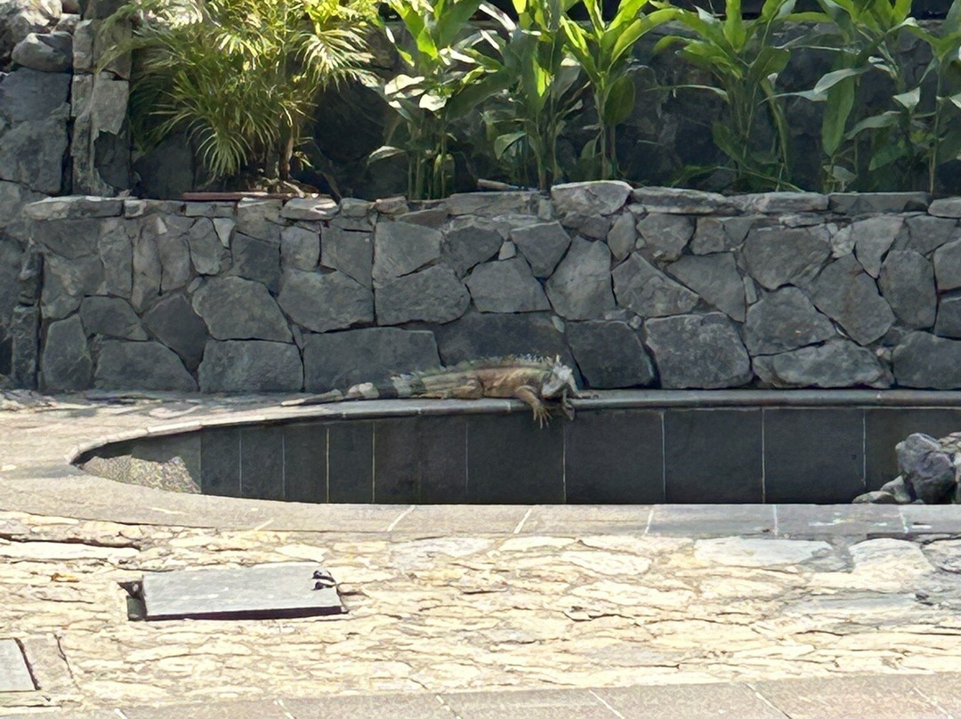 Parque Seminario-瓜亚基尔必去景点