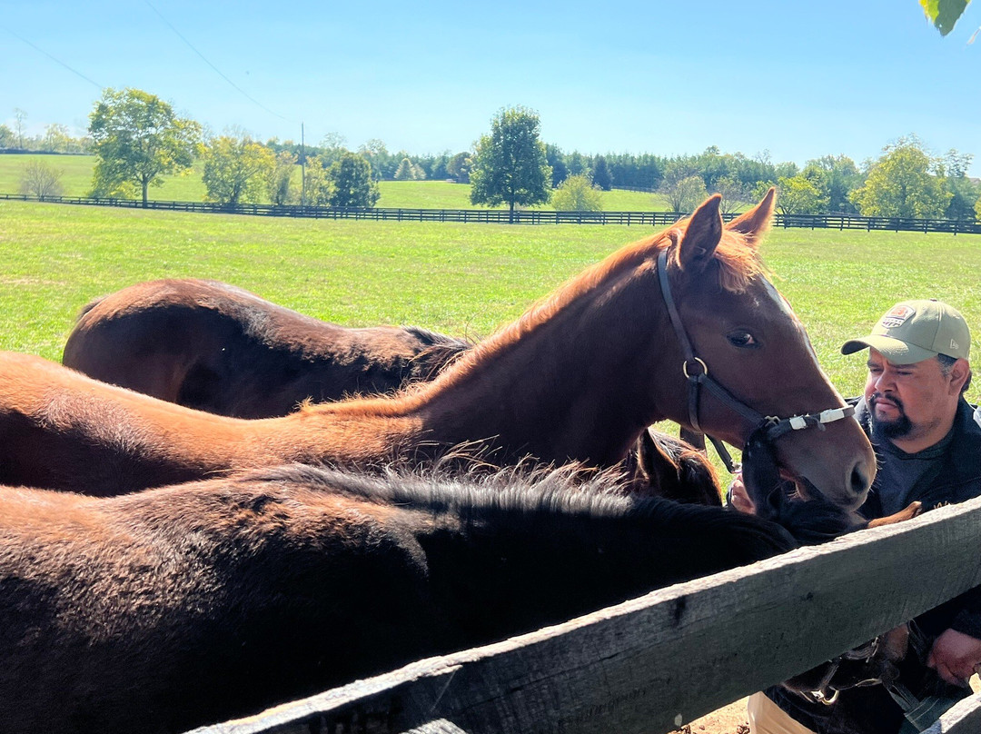 WinStar Farm-Versailles必去景点