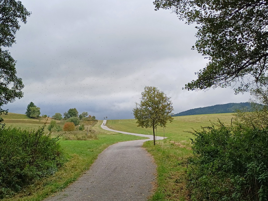 Kostel svaté Máří Magdalény-Chvalsiny必去景点