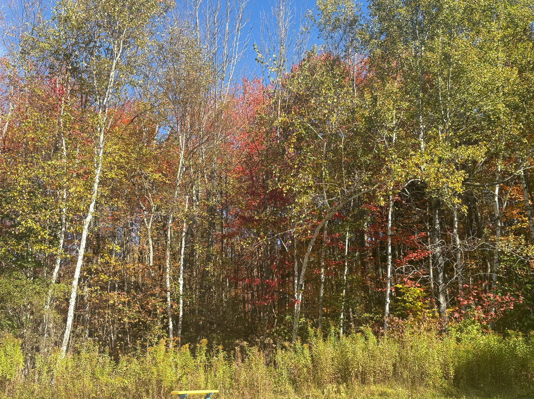 The Vermont Inn主图