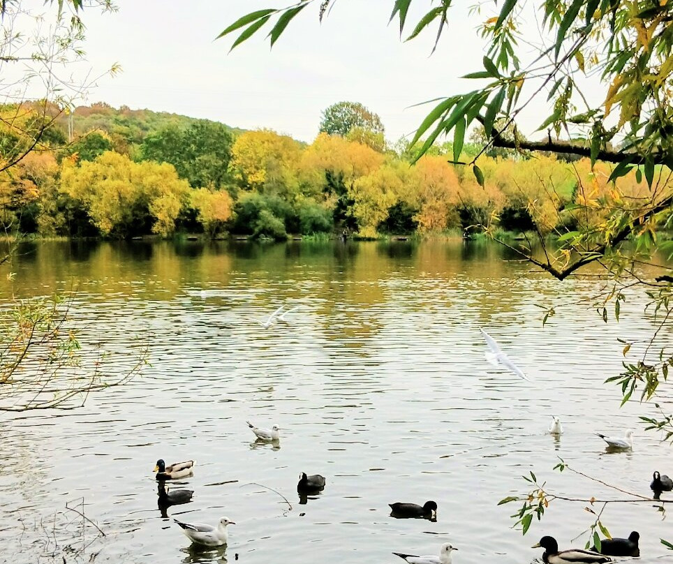 Elsecar Park-巴恩斯利必去景点