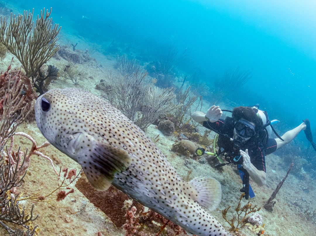 Serena Yogandive-普拉亚德尔卡曼必去景点
