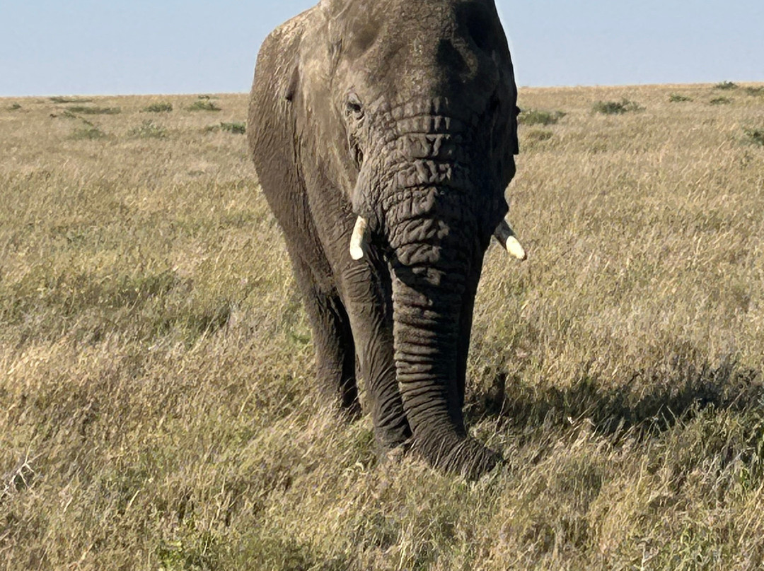 Access2Tanzania-阿鲁沙必去景点