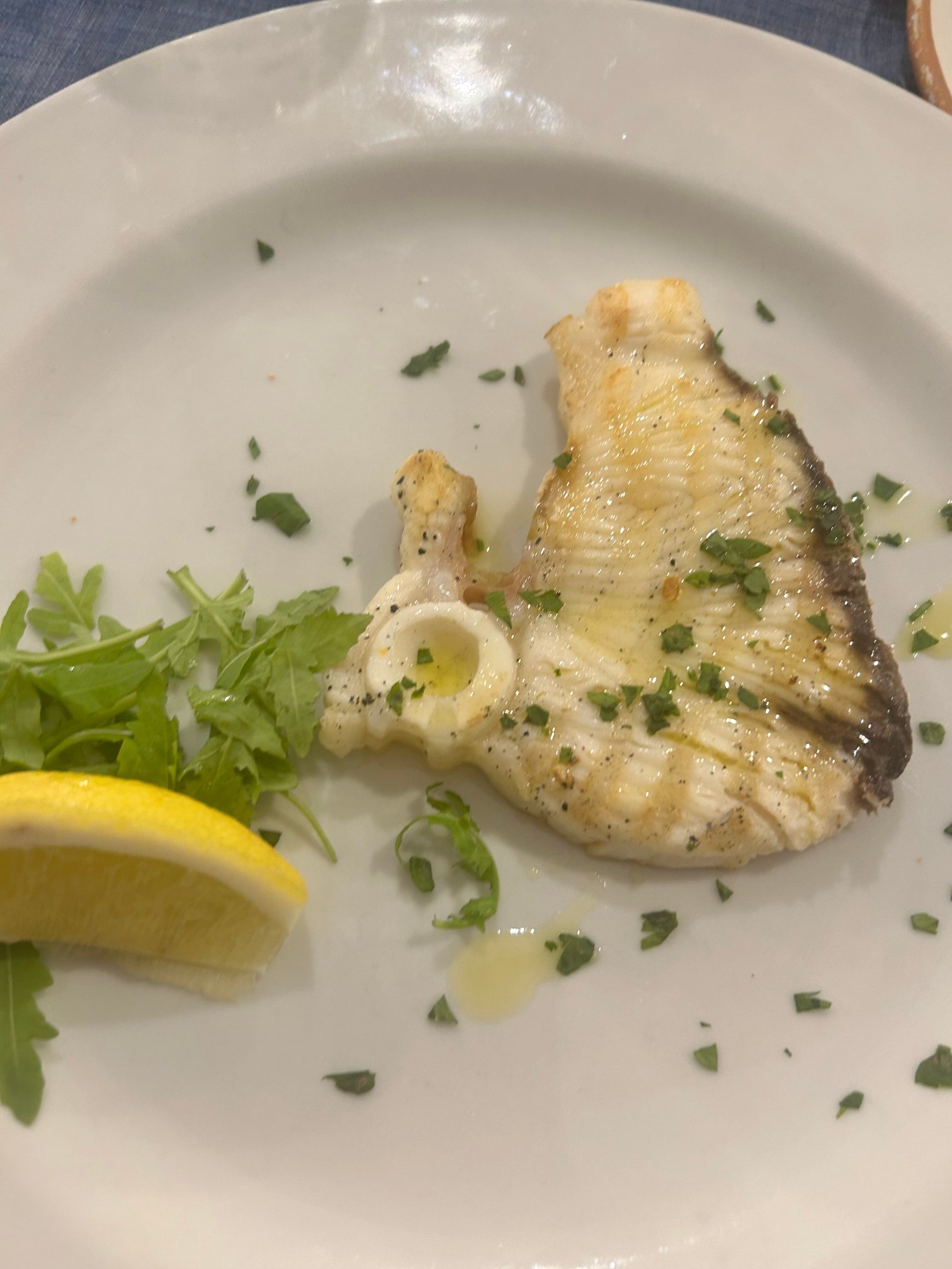 Hotel Mercurio-官方