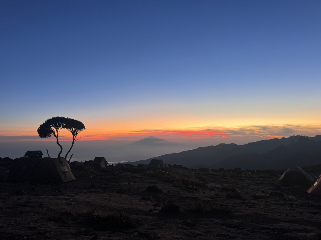 Trekking Hero - Kilimanjaro Day Hike-乞力马扎罗山国家公园必去景点