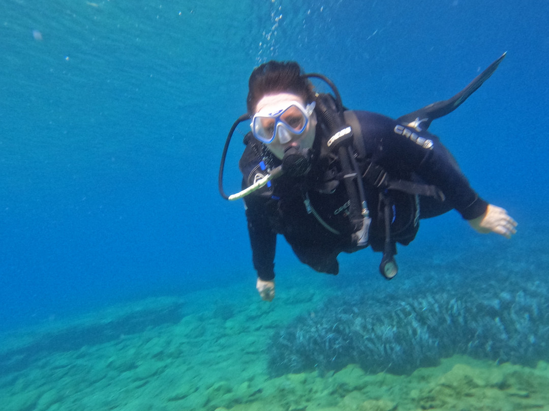 Stay Wet Diving Center-阿希亚贝拉希亚必去景点